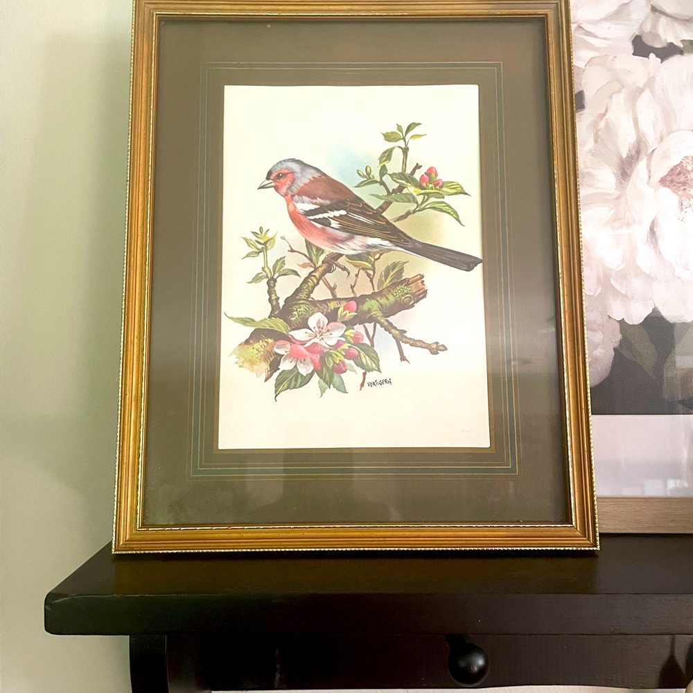 Gold framed bird print. True vintage!